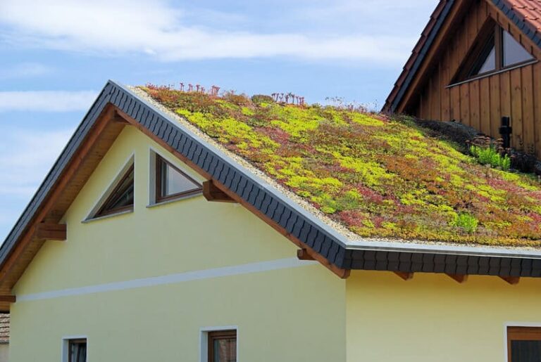 Top Brands for Eco-Friendly Roofing: Sustainable Solutions