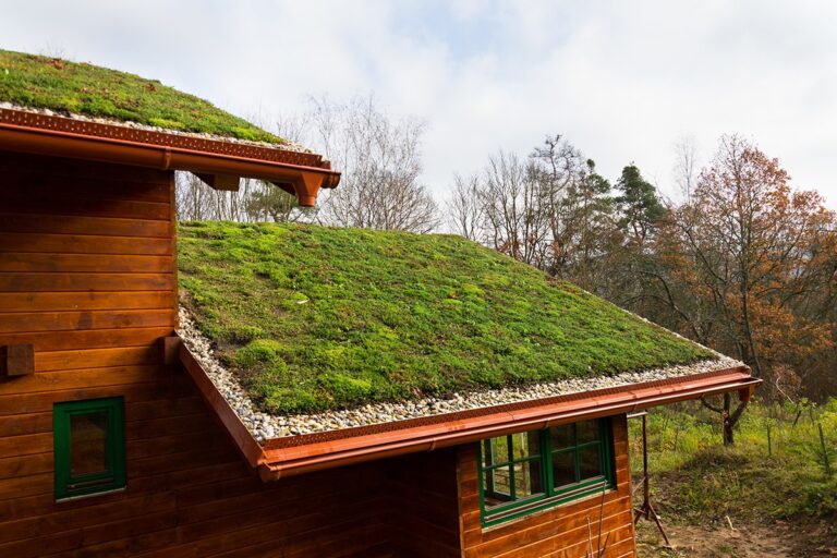 Eco-Friendly Roofing Options: Sustainable Choices for Your Home